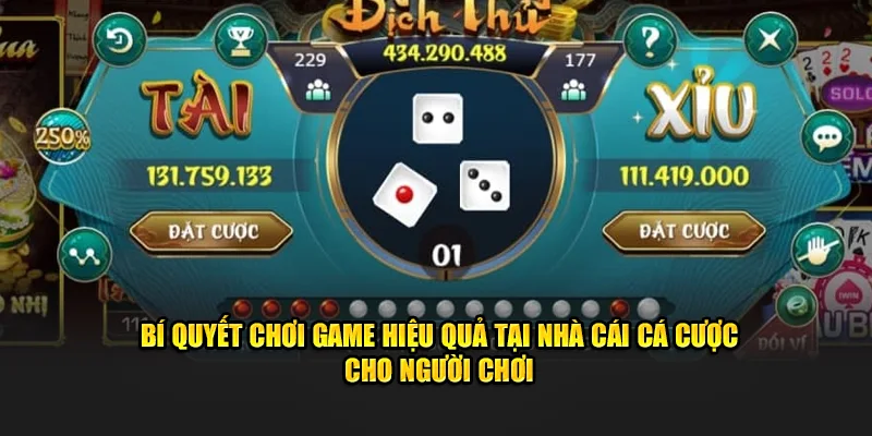 Bí quyết chơi game hiệu quả tại nhà cái cá cược cho người chơi