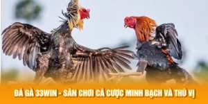 Đá Gà 33WIN - Sân Chơi Cá Cược Minh Bạch Và Thú Vị