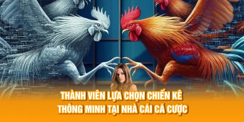 Thành viên lựa chọn chiến kê thông minh