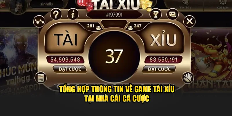 Tổng hợp thông tin về game tài xỉu tại nhà cái cá cược